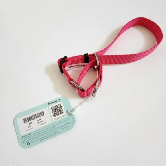 blueberry pet Safety Training Dog Collar - Picture 2 of 4